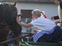 Jól esik a simogatás